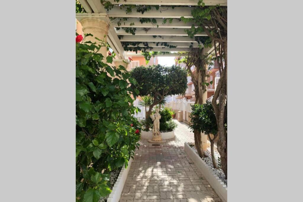 Beach Dream Apartment La Mata  Luaran gambar