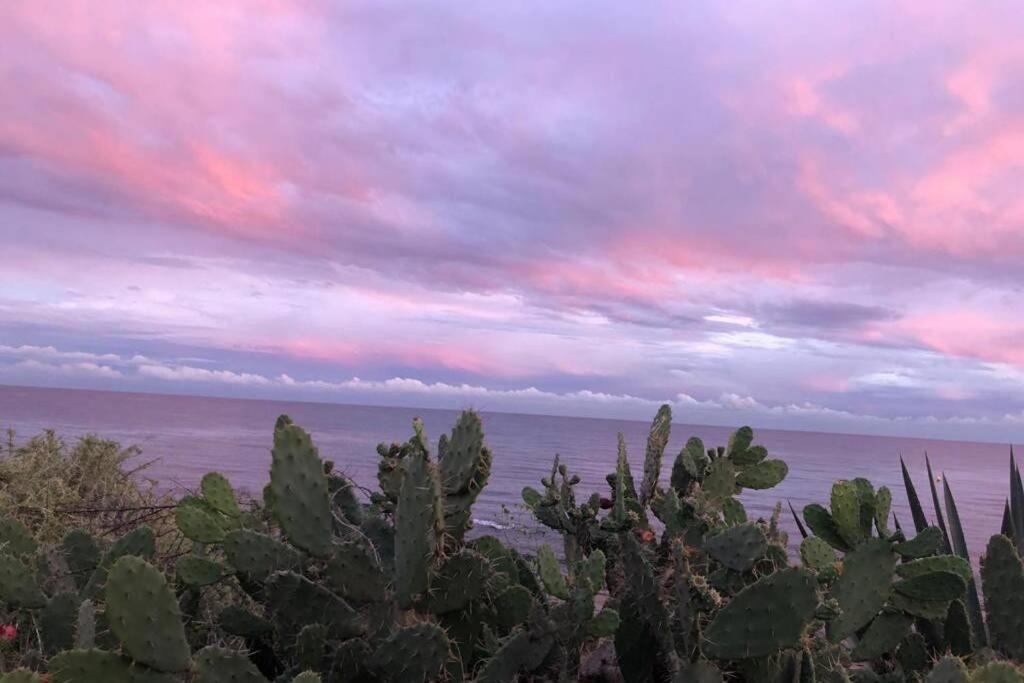 Beach Dream Apartment La Mata  Luaran gambar